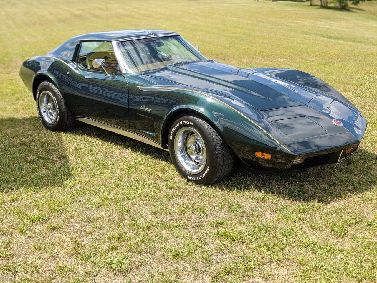 Dark green 1974 Chevrolet Corvette photographed in front three-quarter view on a grassy lawn, its T-top roof and long sloping hood catching the light after the build
