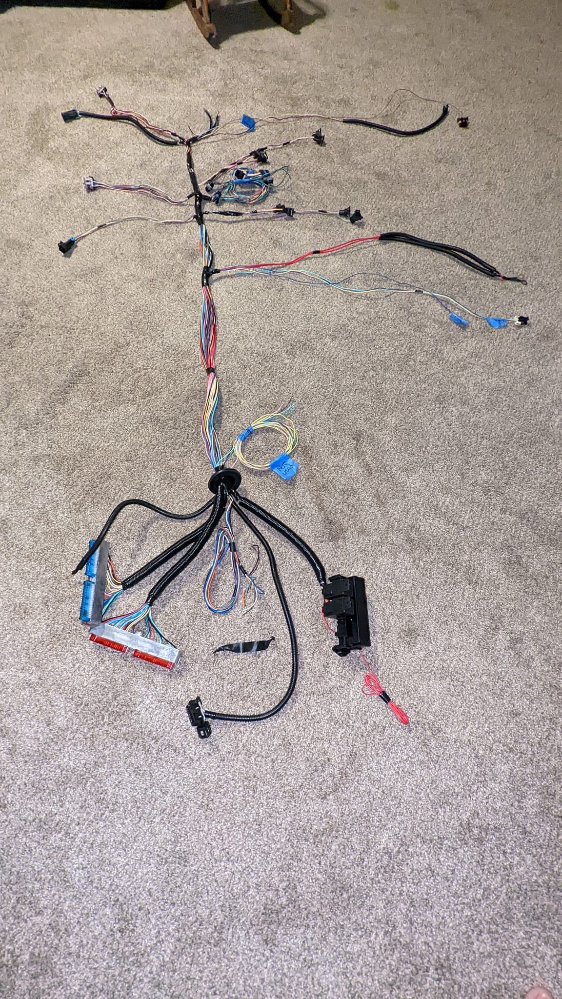 A reworked GM LS-swap engine wiring harness laid out flat on a carpet, connectors fanned out before installation