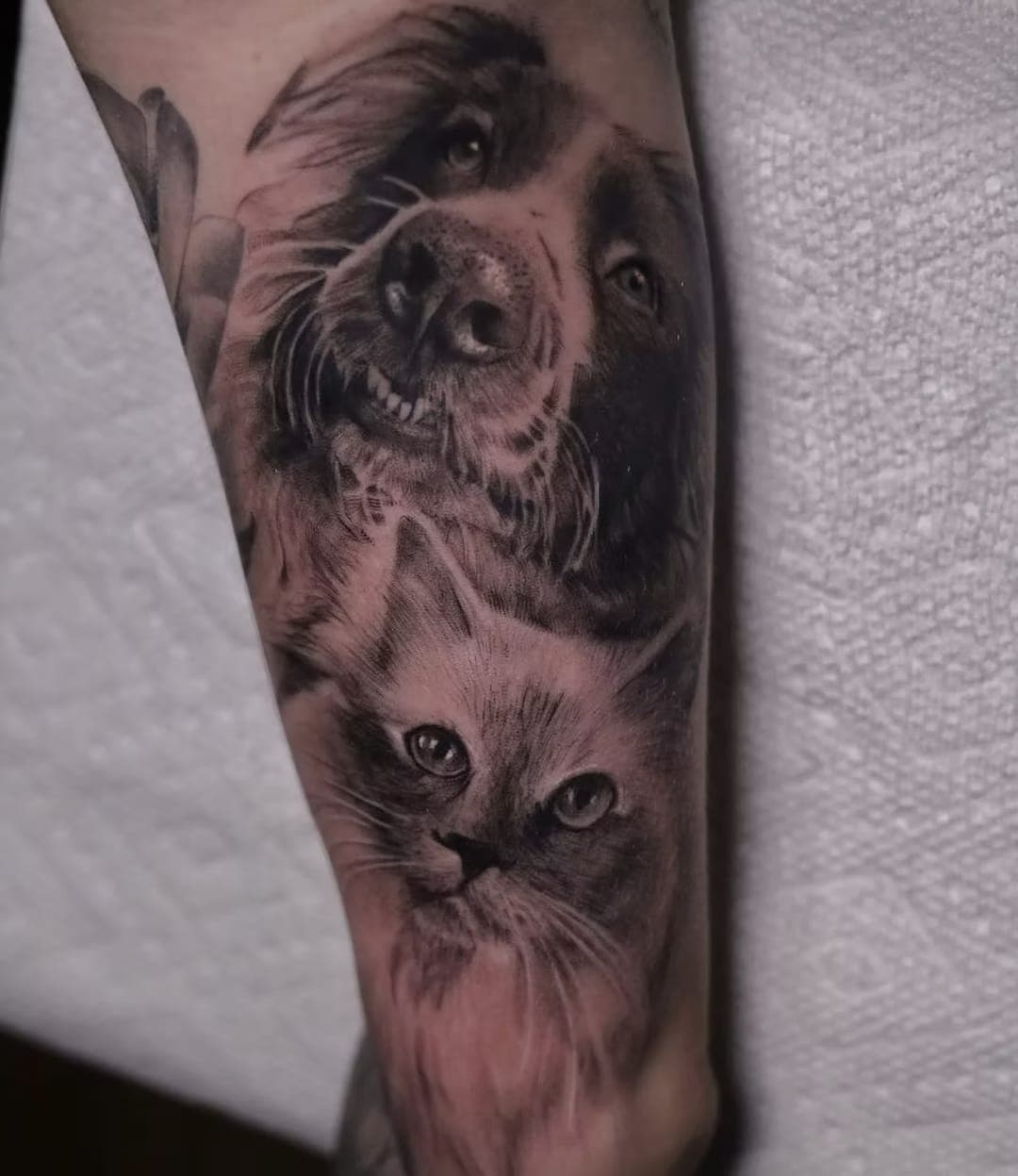 Black-and-grey realism tattoo of a dog and a cat together on a forearm by 5 Pound Gummy Tattoo Collective