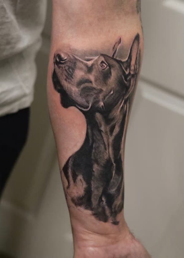 Black-and-grey realism portrait tattoo of a dog looking upward, on a forearm, by 5 Pound Gummy Tattoo Collective