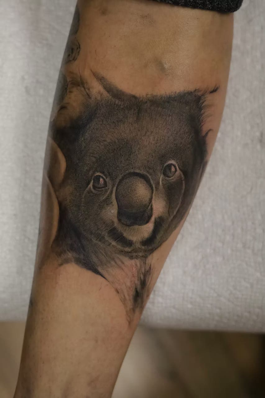 Black-and-grey realism tattoo of a koala on a forearm by 5 Pound Gummy Tattoo Collective