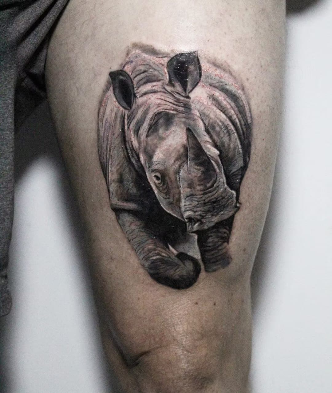 Black-and-grey realism tattoo of a rhinoceros on a thigh by 5 Pound Gummy Tattoo Collective