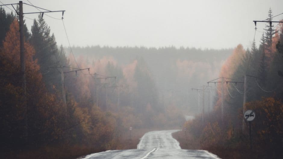 Misty rural road with low visibility for a fog driving safety article.