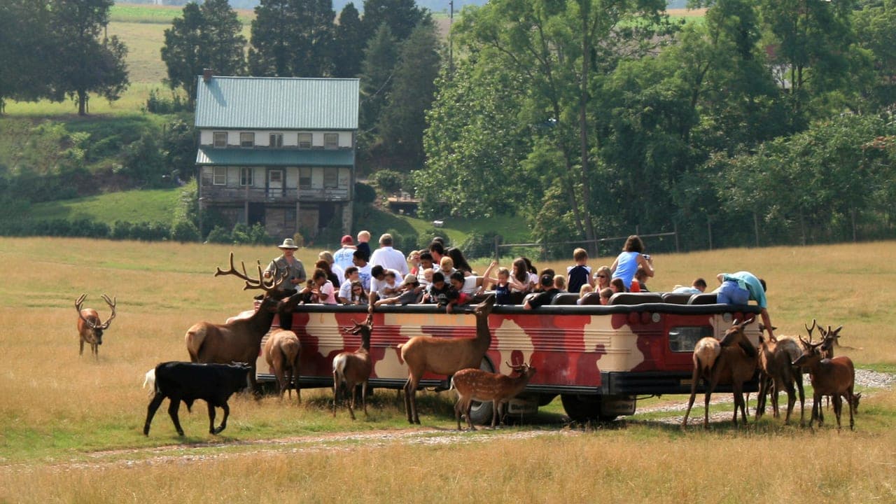 Lake Tobias Wildlife Park in Halifax, PA